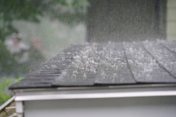 Best Metal Roofing Installation  in Erie, IL