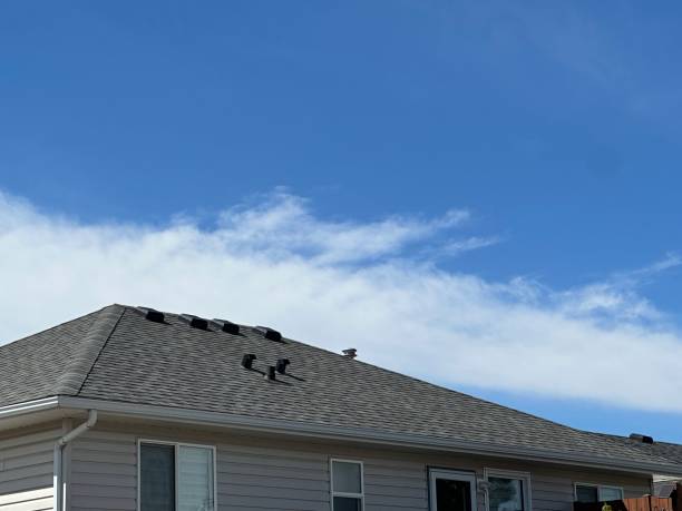 Best Roof Ventilation Installation  in Erie, IL